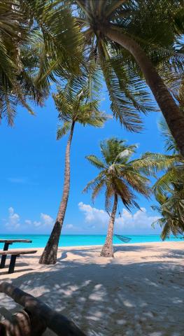 Beach Inn Vashafaru Maldives — photo 6