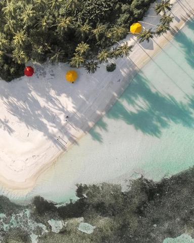 Oceana Inn Hotel Maldives — photo 17