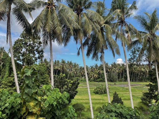 Hidden City Ubud - Modern Comfort & Relaxed Living near Central Ubud and Green Fields — photo 13