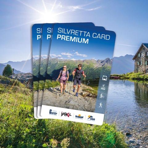 Apart Gstrein - including Silvretta Premium Summercard — photo 7