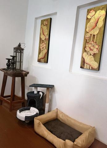 E-outfitting Boutique Chiang Mai — photo 13