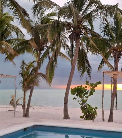 Casa del Viento Celestun — photo 22