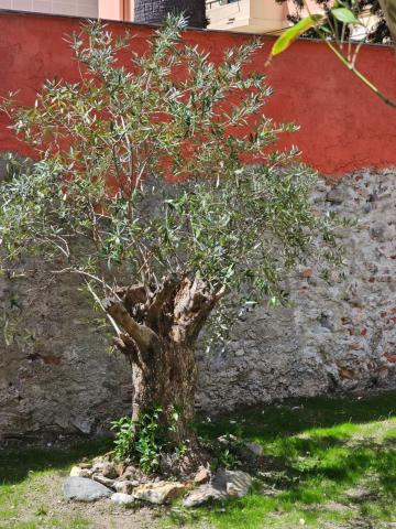 Blu Oltremare camere bijoux — photo 7