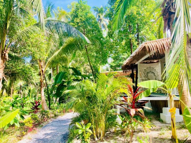 Secret Palm — photo 20