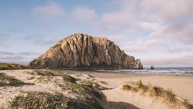 Cayucos Beach Inn — photo 19