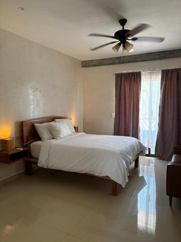 Mexhe Hotel El Cuyo — photo 20