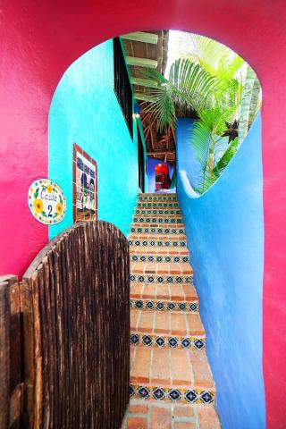 Casa Pata Salada — photo 24