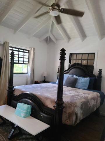 Potcake Villa "Vacation with Heart Villa Donates to Rescue Dogs" — photo 6