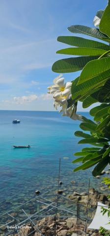 Chabalay Resort — photo 21