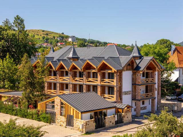 Forest Green & Spa in Romania