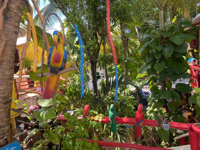 Maison Tulum — photo 11