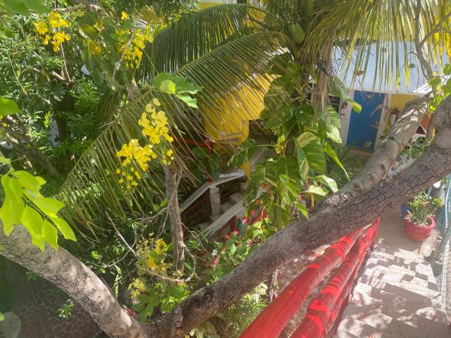 Maison Tulum — photo 19