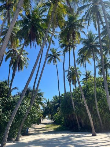 Gaskara Guesthouse — photo 8