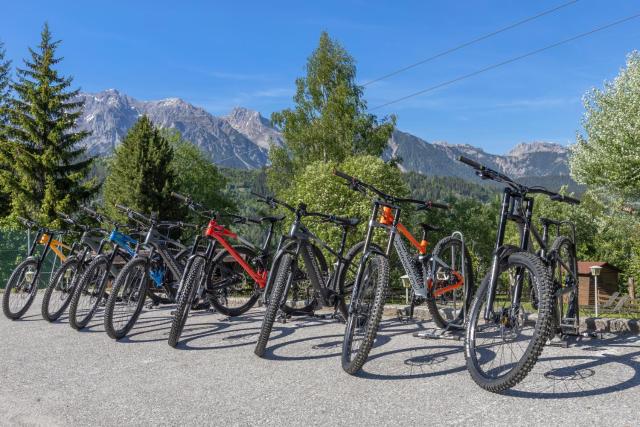 Alpine Club Resort — photo 11