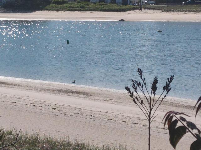 Inn on Onset Bay — photo 11