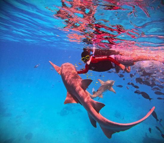 Oceana Inn Hotel Maldives — photo 7