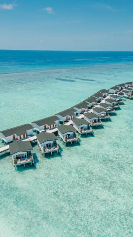 Joy Island Maldives by The Cocoon Collection — photo 12