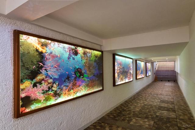 Cozumel Hotel & Resort All Inclusive — photo 19