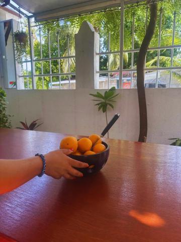 Bahaaru Villa surf and Stay — photo 3