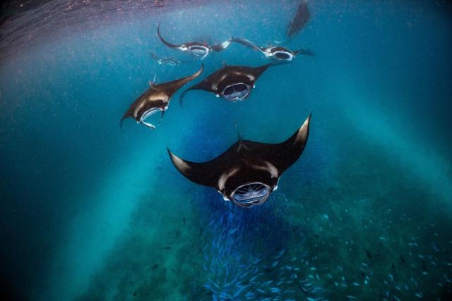Nova Maldives — photo 17