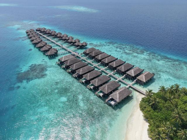 Coco Bodu Hithi — photo 19