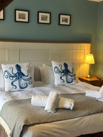 Y Meirionnydd Boutique Hotel — photo 9