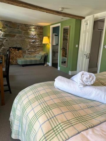 Y Meirionnydd Boutique Hotel — photo 19