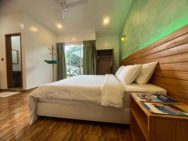 Turtle Maldives — photo 12