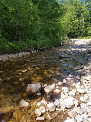 Toll Road Inn — photo 12