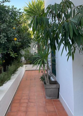 Dar Esma — photo 10