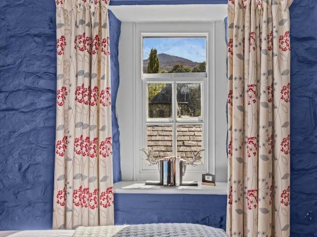 Y Meirionnydd Boutique Hotel — photo 22