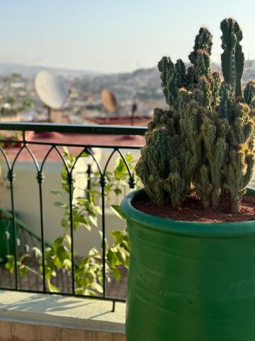 Riad Citronnier & Spa — photo 17