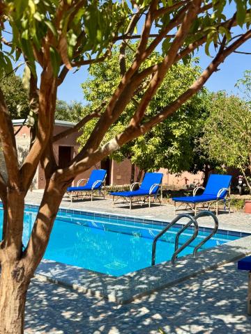 El Juneina Boutique Villas — photo 7