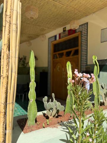Riad Citronnier & Spa — photo 22