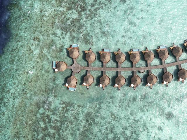 Mercure Maldives Kooddoo Resort — photo 9
