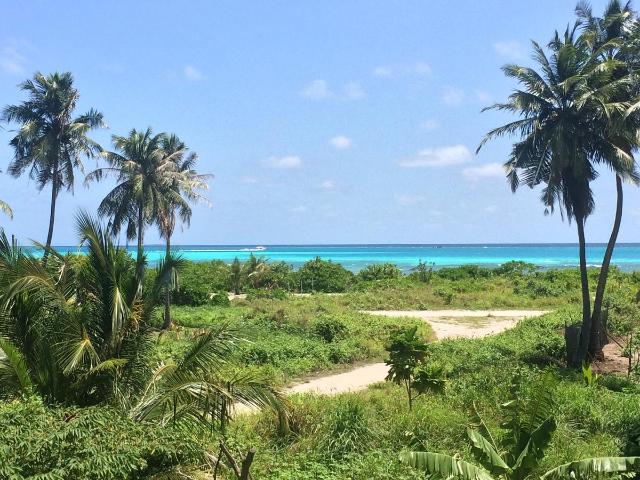 Shamar Guesthouse & Dive — photo 14