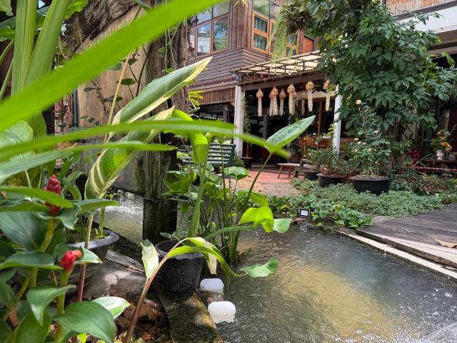 Khom Chiang Mai — photo 22