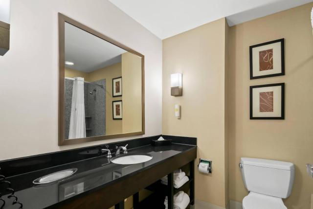 Eco Lodge Inn & Suites By KC Hotels/ Bentonville Rogers — photo 14