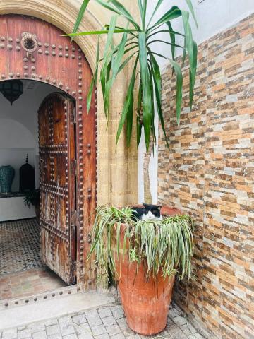Riad Narjiss — photo 24