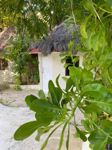 MK Hotel Beach — photo 17
