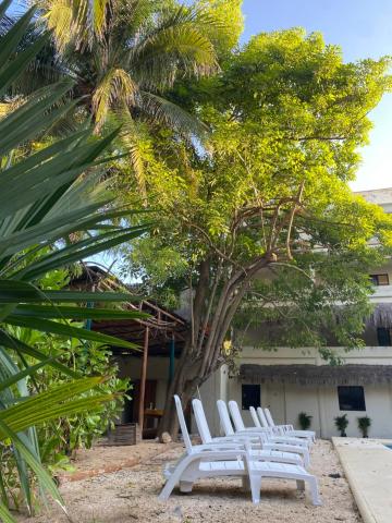 MK Hotel Beach — photo 24