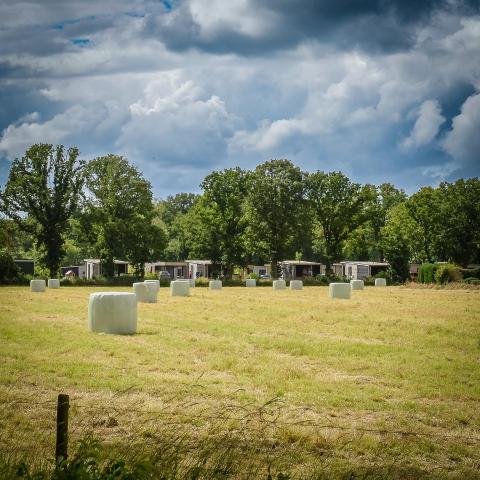 Vakantiepark Buitenplaats Holten — photo 10