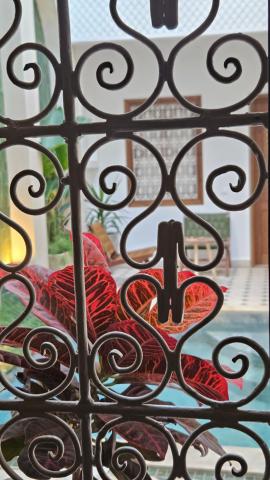 Riad Jô & Spa — photo 20
