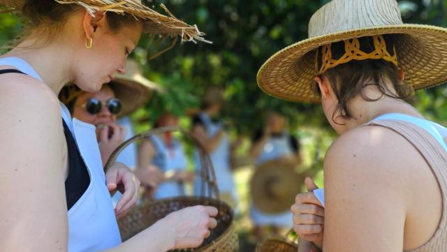 Phuket Nonnita Boutique Resort & Organic Farm — photo 16