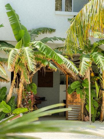 Dhiffushi Inn — photo 1