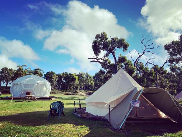 Coonawarra Bush Holiday Park — photo 15