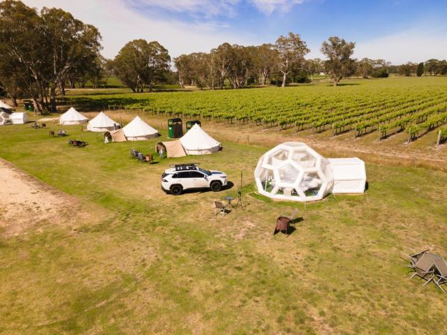 Coonawarra Bush Holiday Park — photo 23