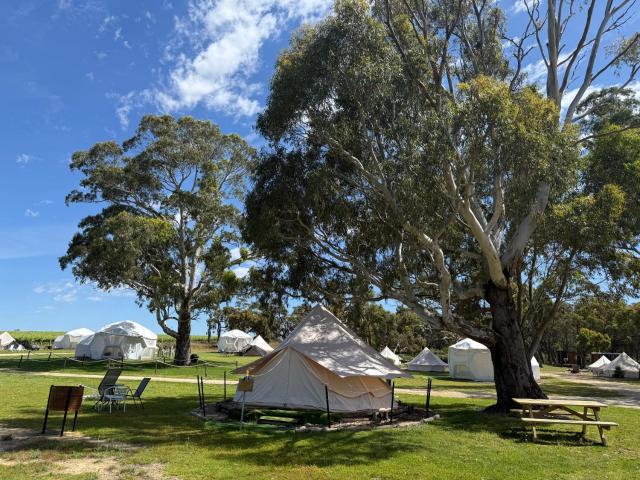 Coonawarra Bush Holiday Park — photo 10