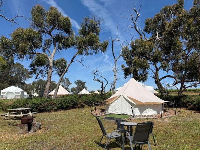 Coonawarra Bush Holiday Park — photo 5