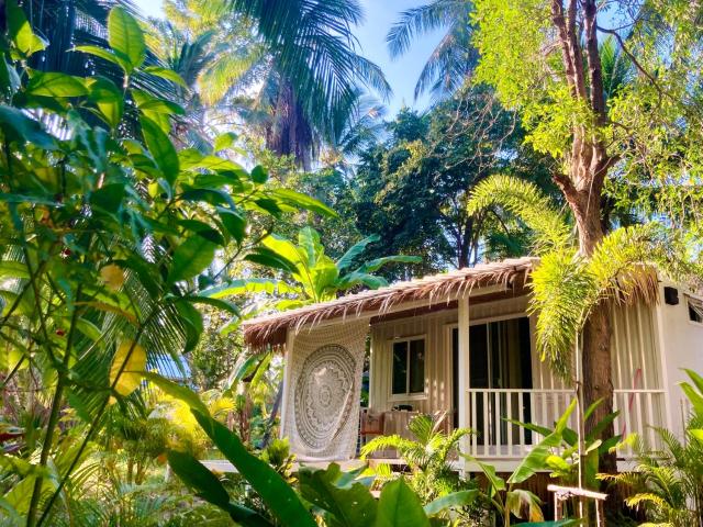 Secret Palm — photo 1